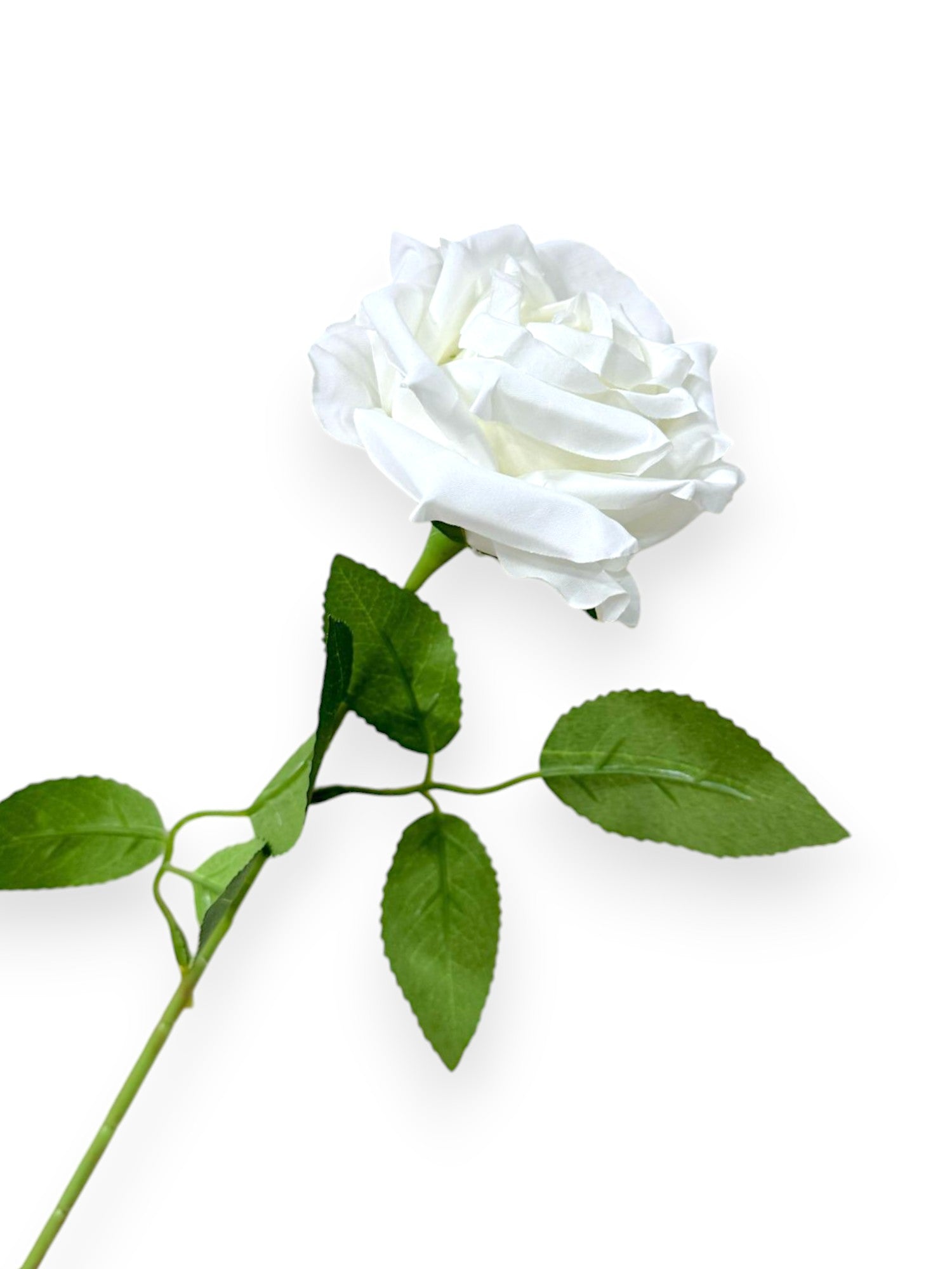 ROSE W/THORNS ST 26"