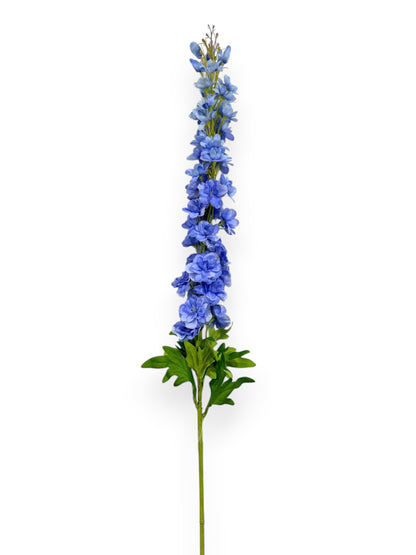 DELPHINIUM 42"