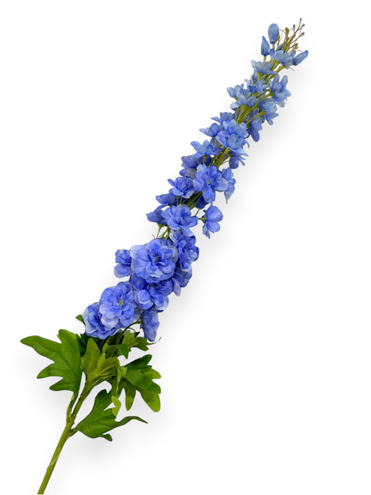 DELPHINIUM 42"