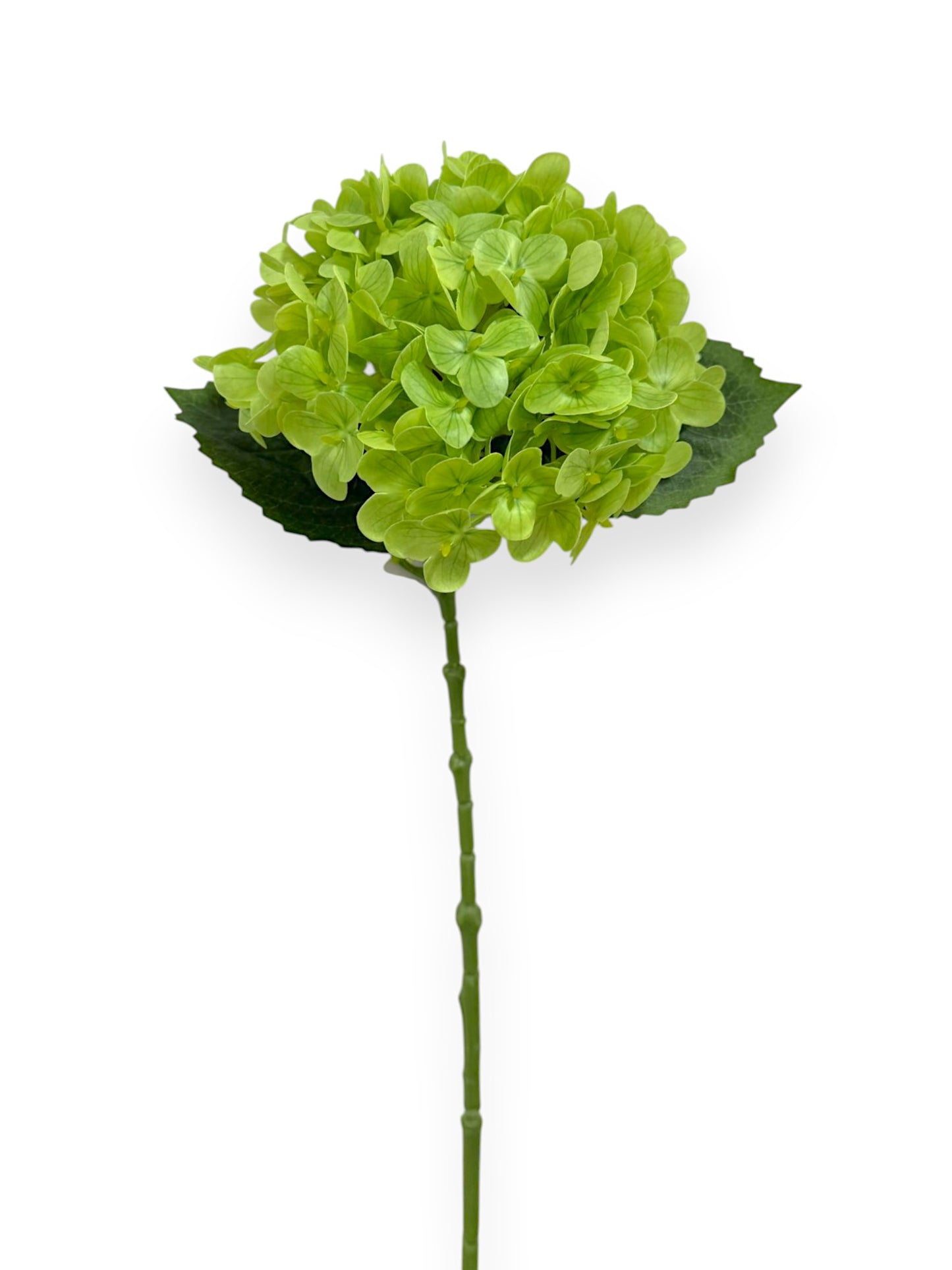 NAT TOUCH HYDRANGEA 21"