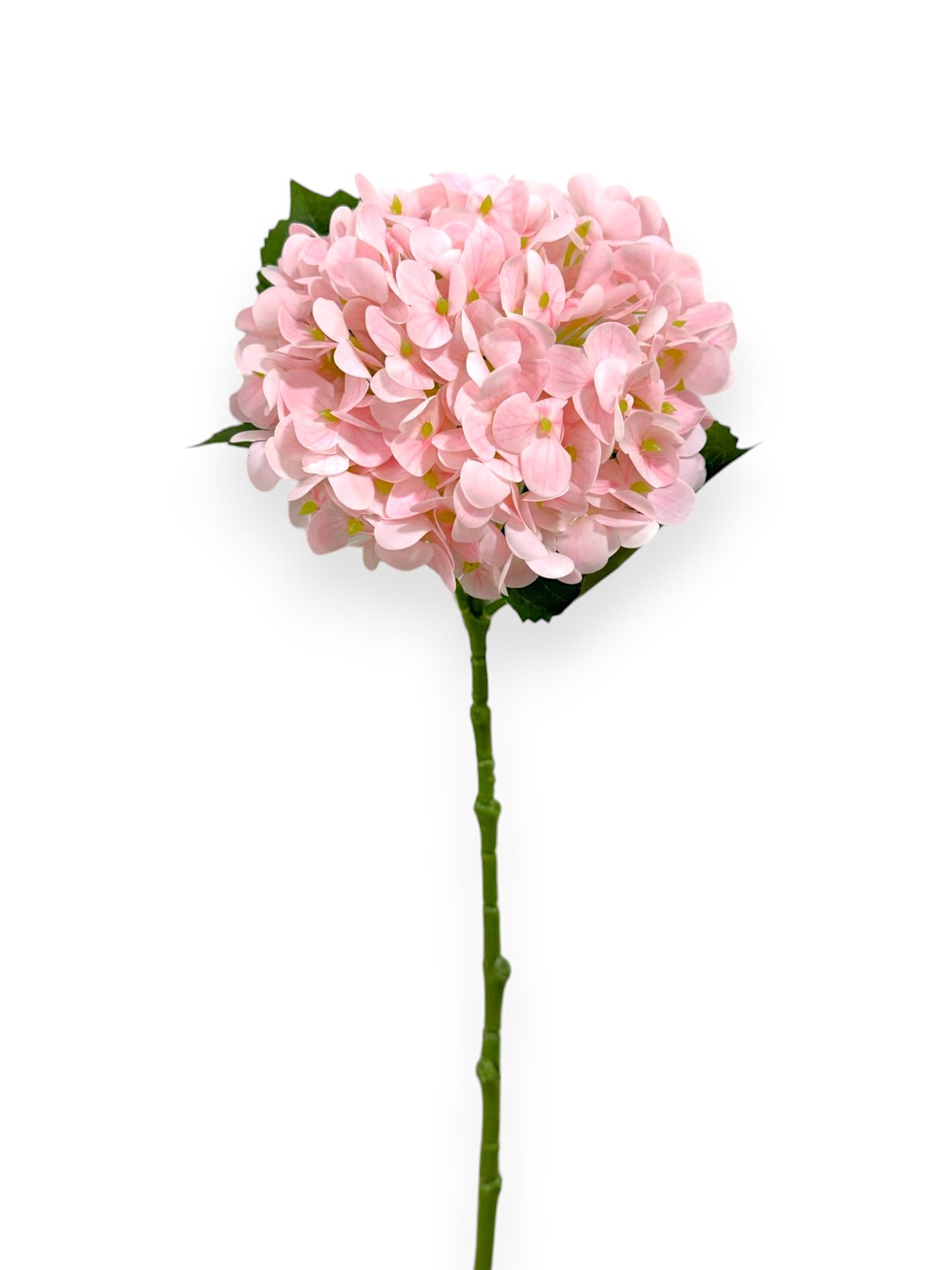NAT TOUCH HYDRANGEA 21"