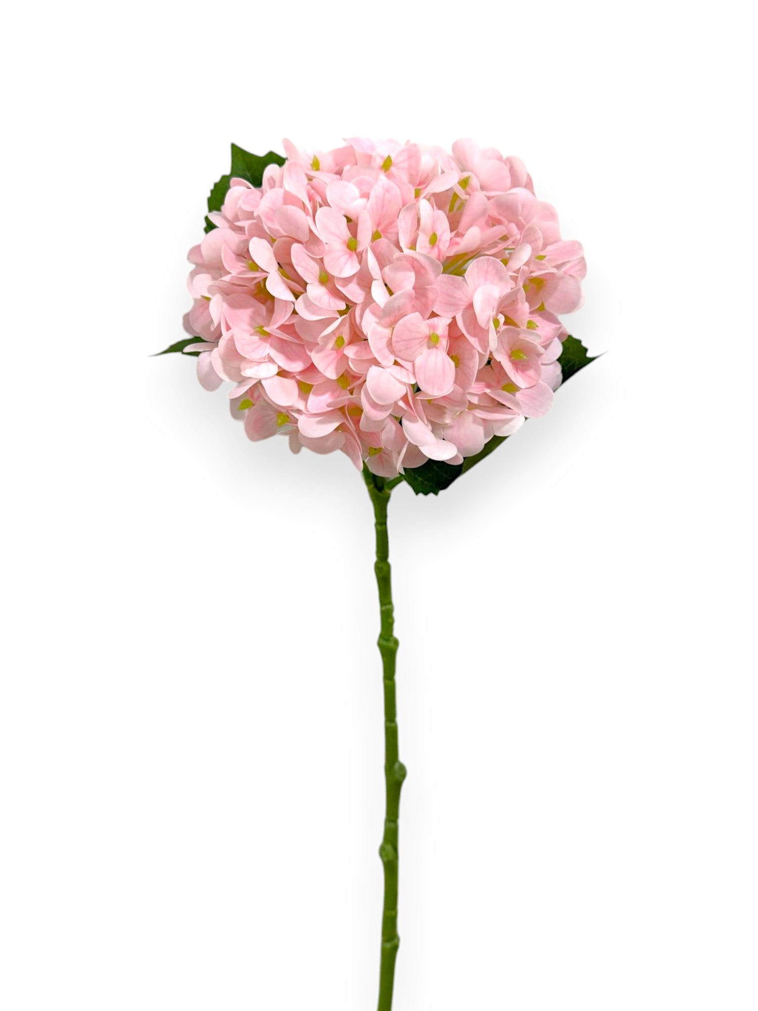 NAT TOUCH HYDRANGEA 21"