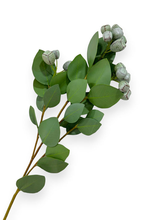 EUCALYPTUS SPRW/FRUIT 29"