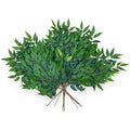 SMYLAX SPRAY 12PCS/BUNCH 28"