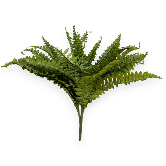BOSTON FERNX27 28"