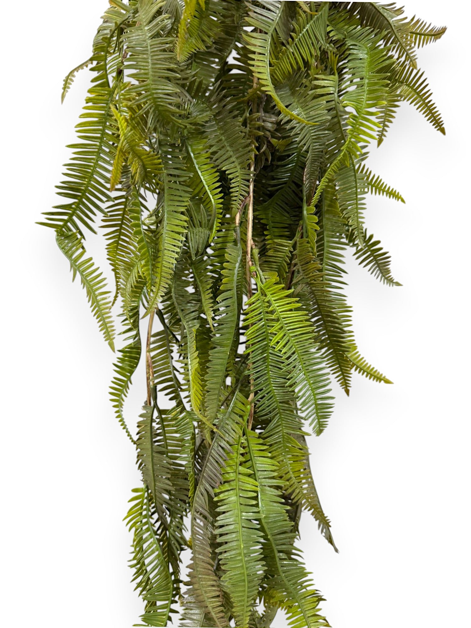 Hanging Vine Fern 44" (2pcs)