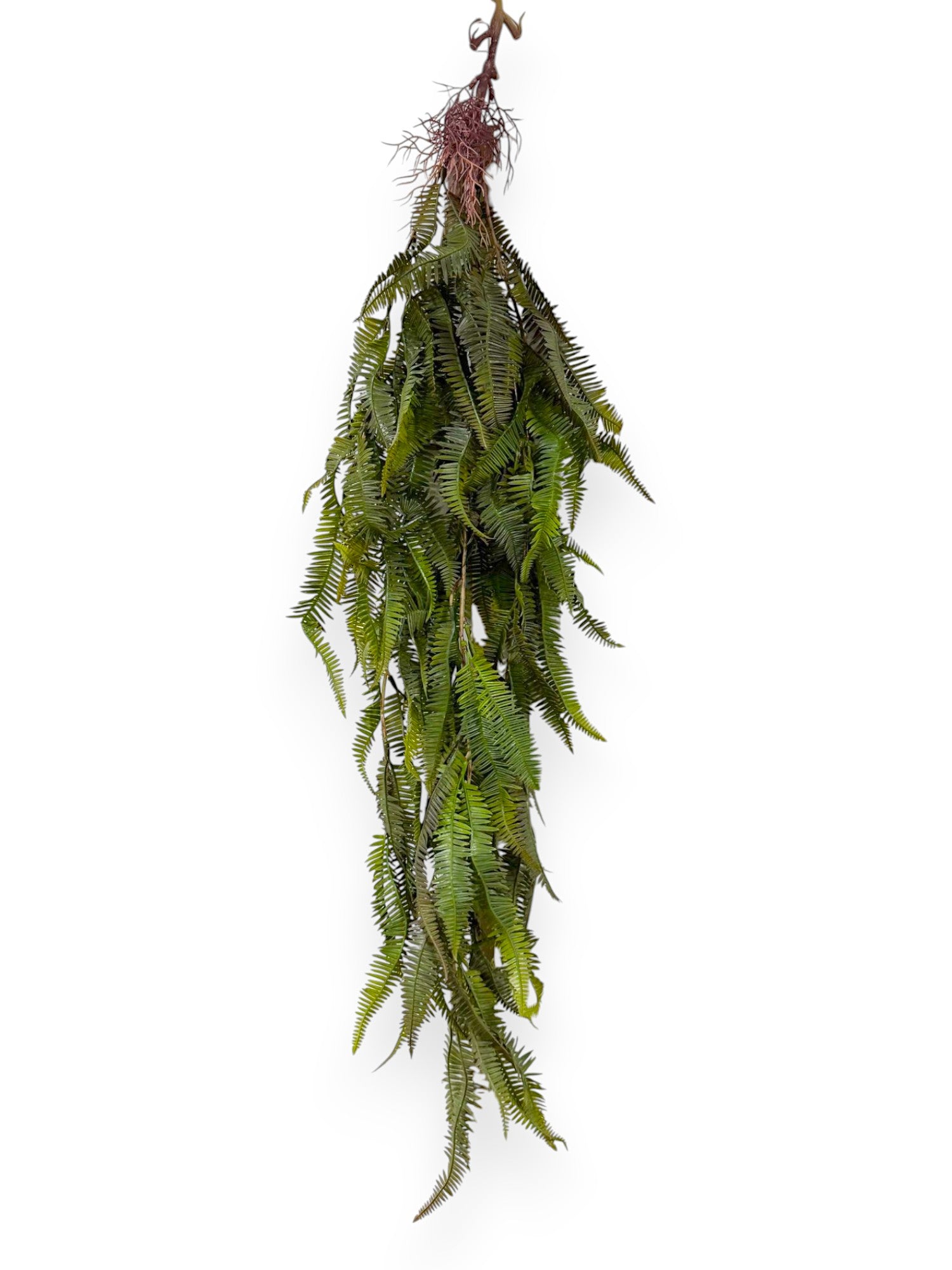 Hanging Vine Fern 44" (2pcs)