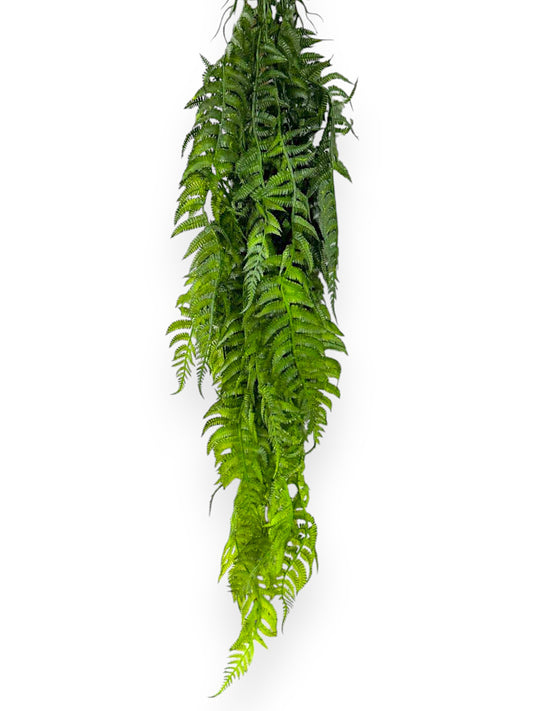 HNG FERN PLTS 2PCS