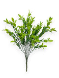 BOXWOOD X7 17"