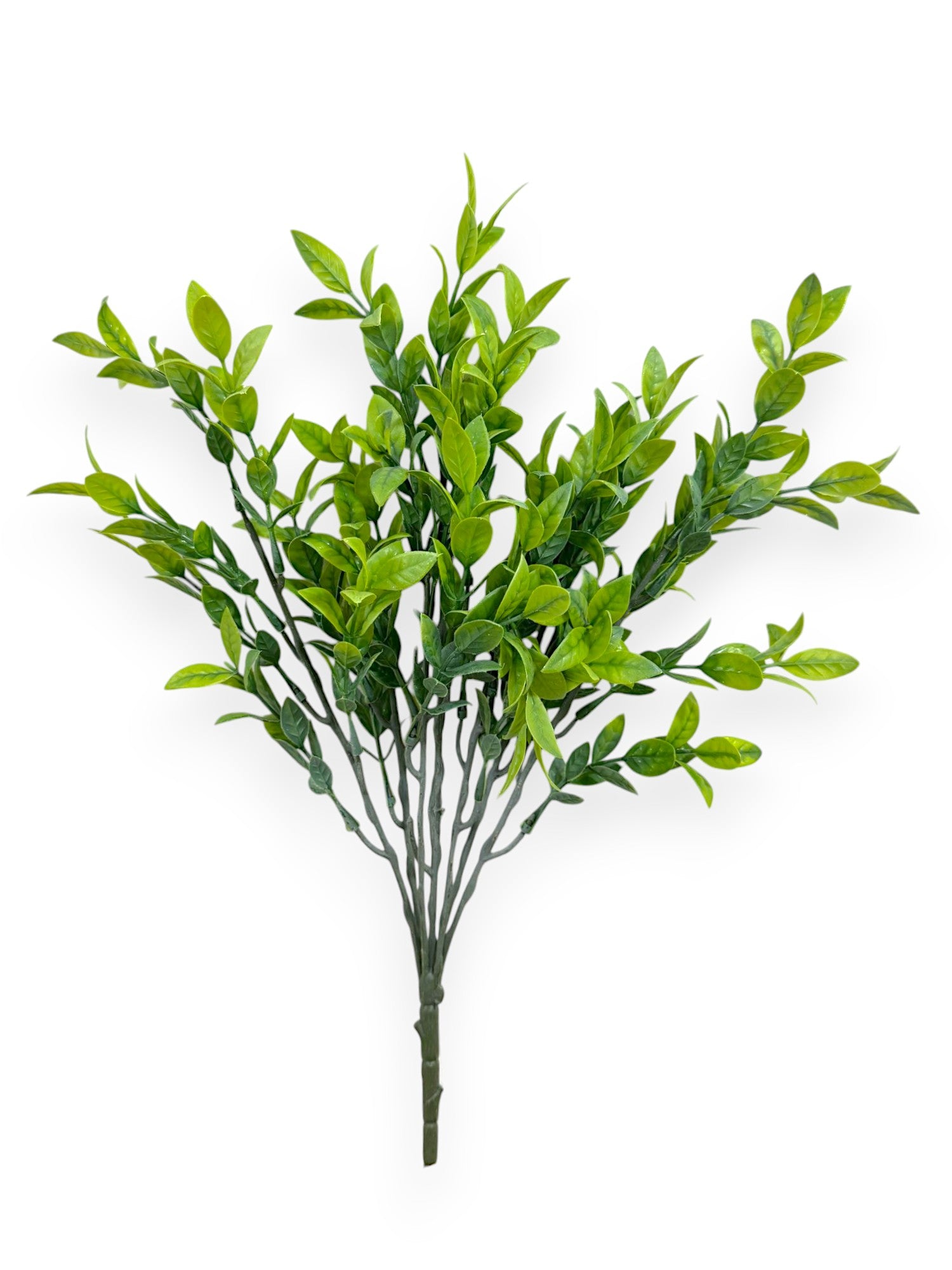 BOXWOOD X7 17"