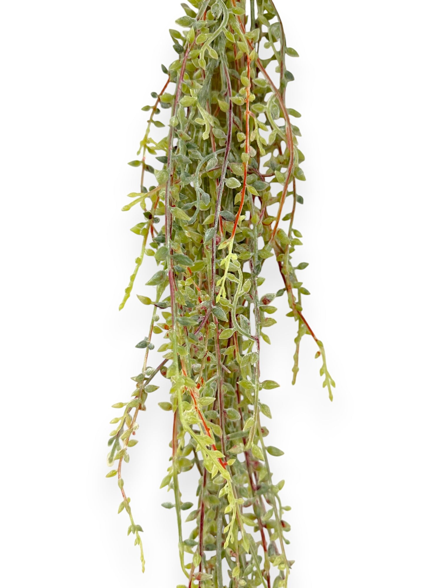 HANGING BUSH 84CM