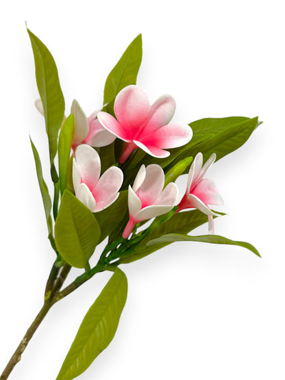 PLUMERIA BUSH 34CM