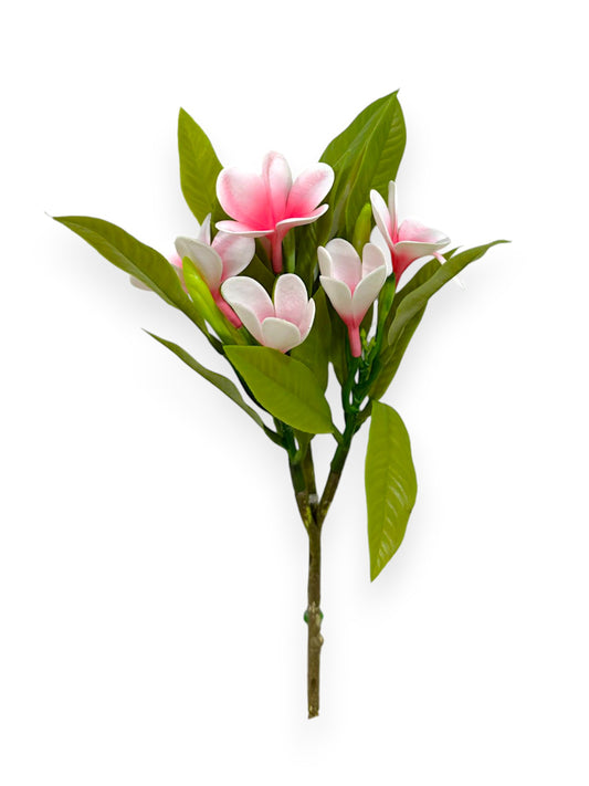 PLUMERIA BUSH 34CM