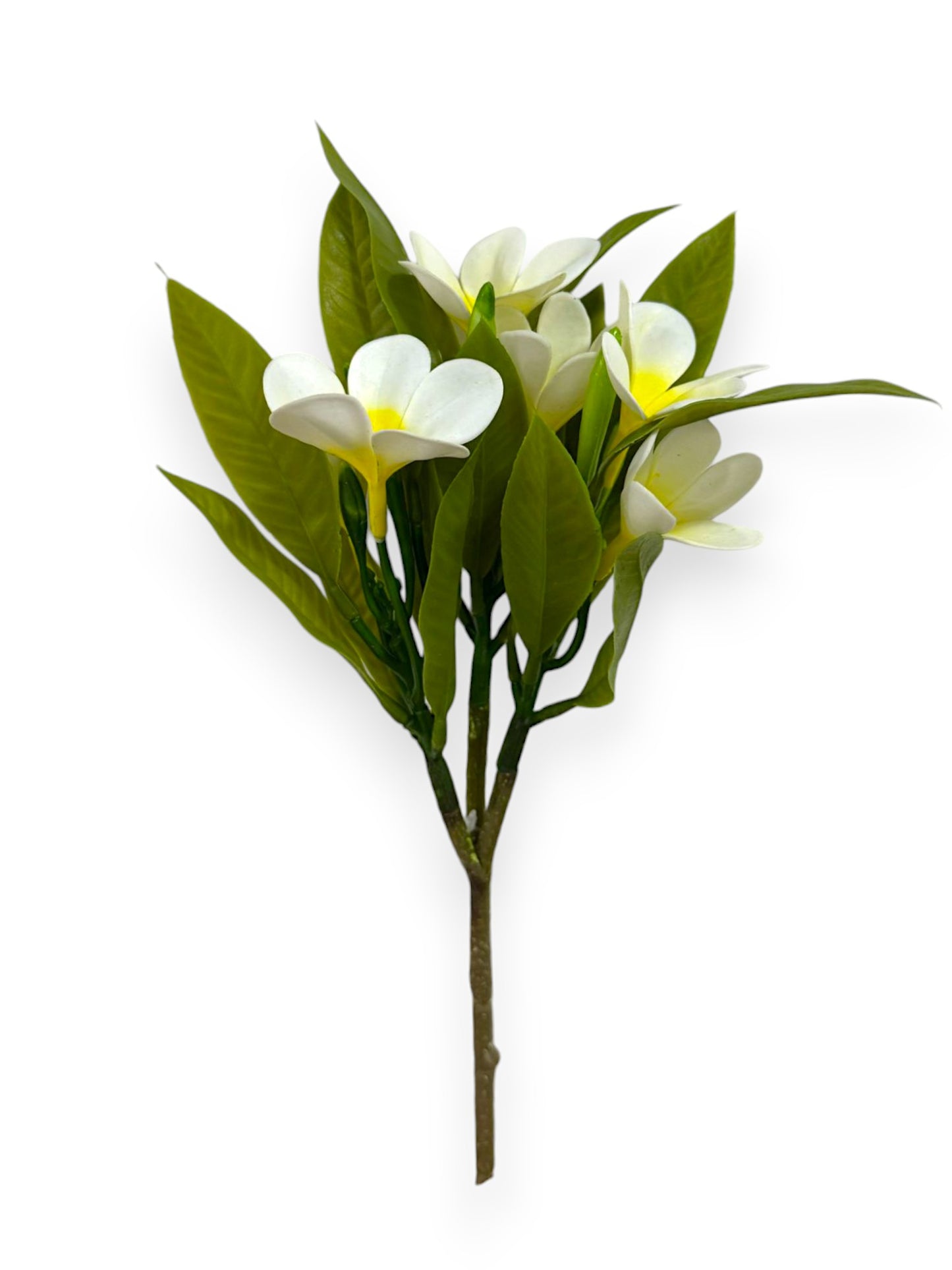 PLUMERIA BUSH 34CM