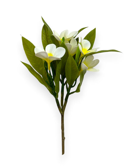 PLUMERIA BUSH 34CM