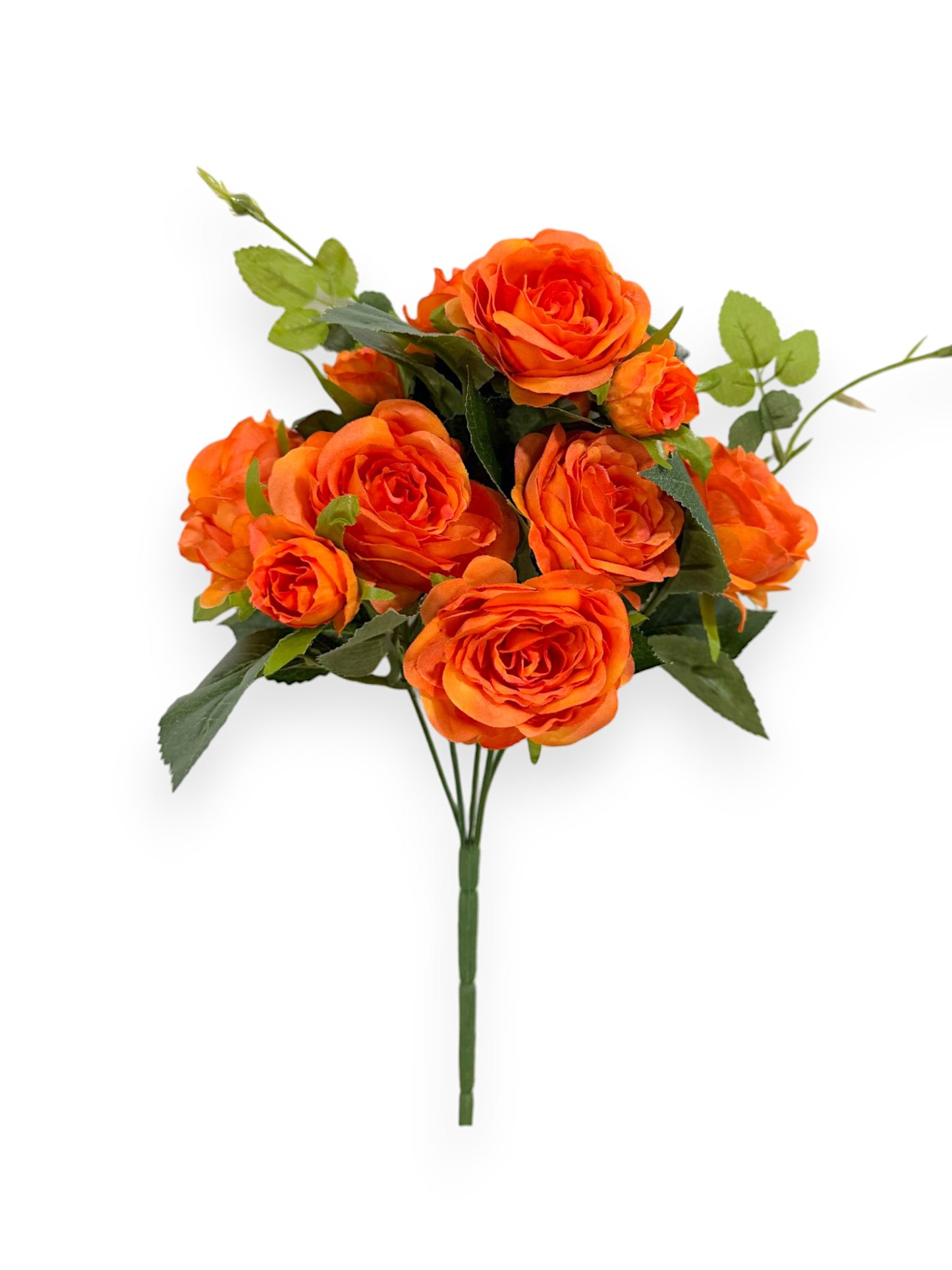 ROSE BUSHX5 11.8"