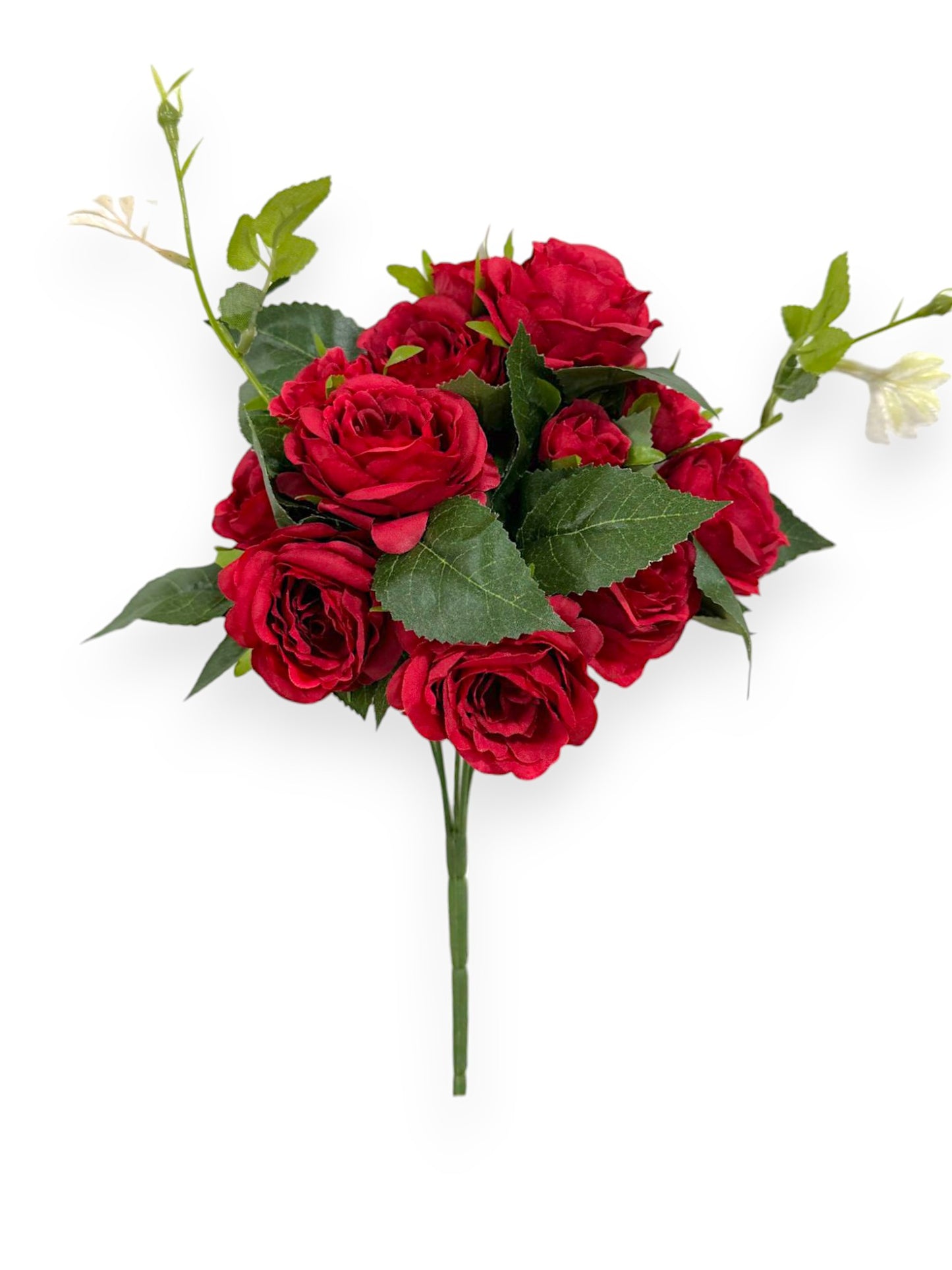 ROSE BUSHX5 11.8"