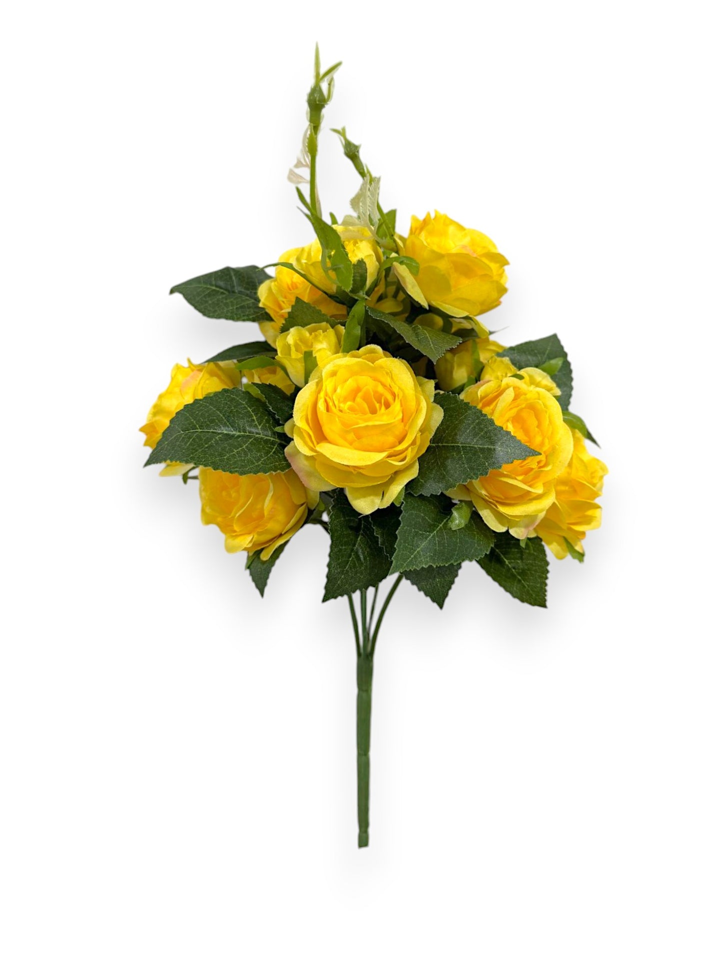 ROSE BUSHX5 11.8"