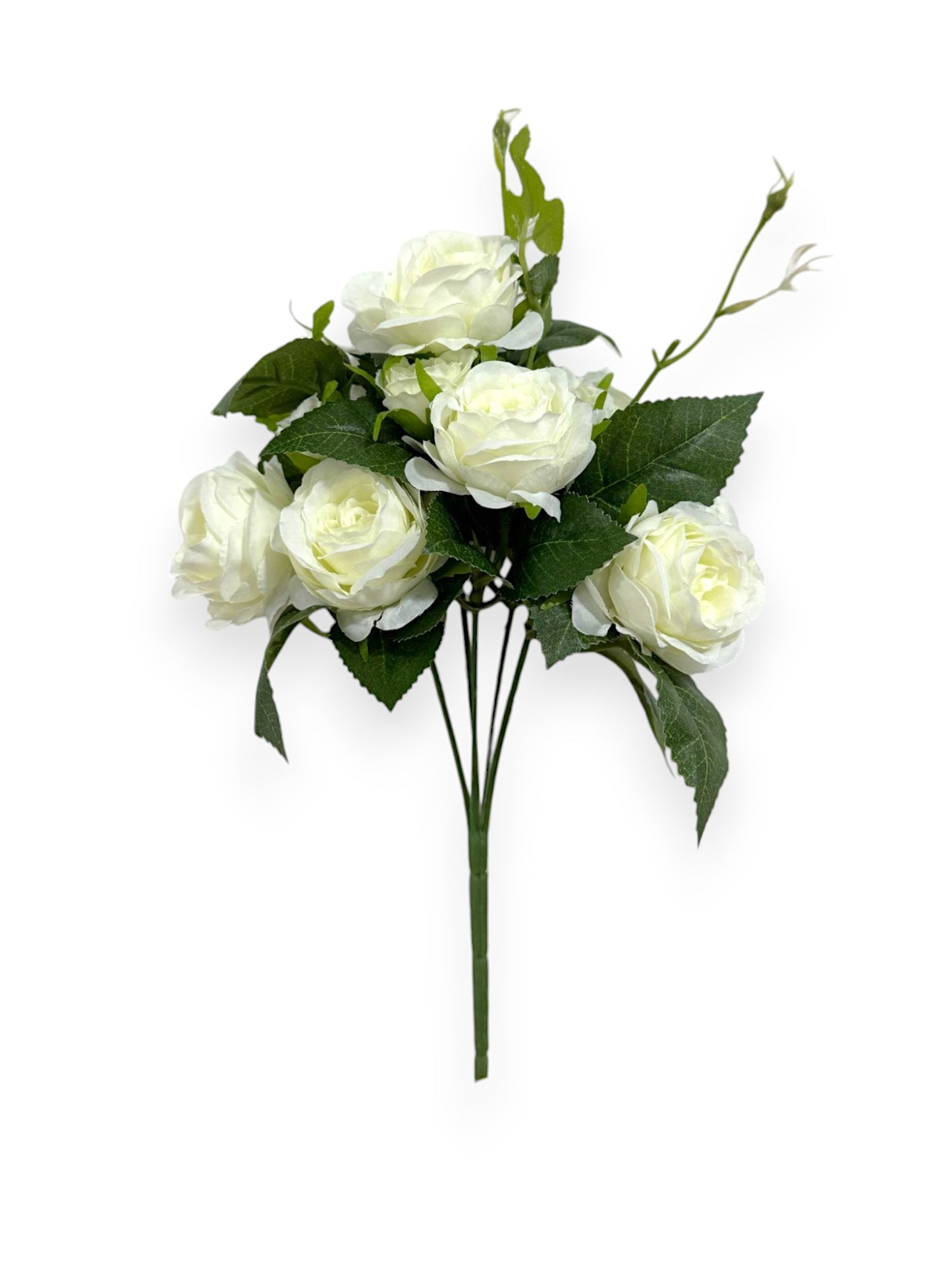 ROSE BUSHX5 11.8"