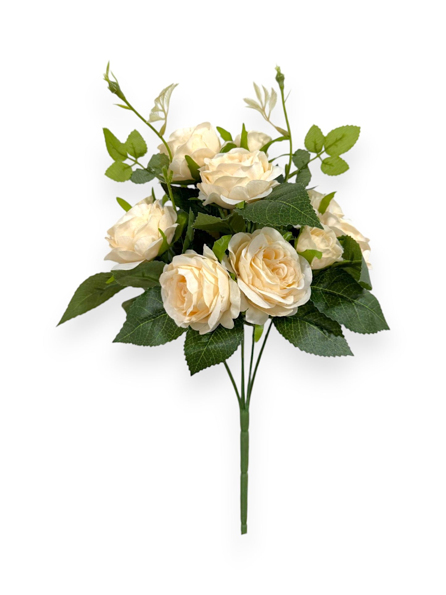ROSE BUSHX5 11.8"