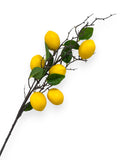 LEMON SPRAY 80CM