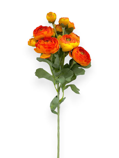 RANUNCULUS STEM 21"