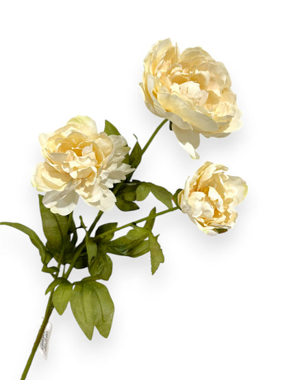 PEONY STEM X3