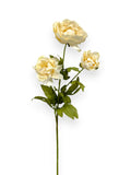 PEONY STEM X3
