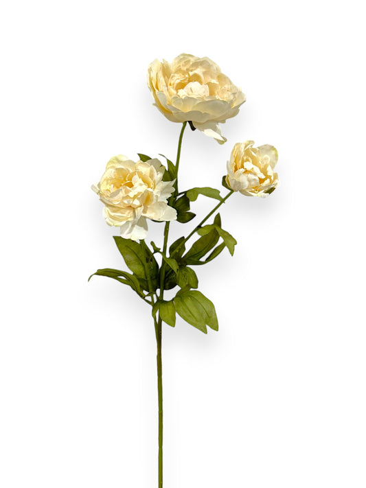 PEONY STEM X3