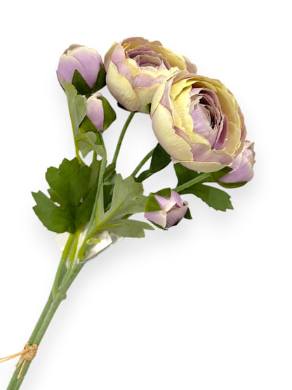 RANUNCULUS BUNDLE X2 20"
