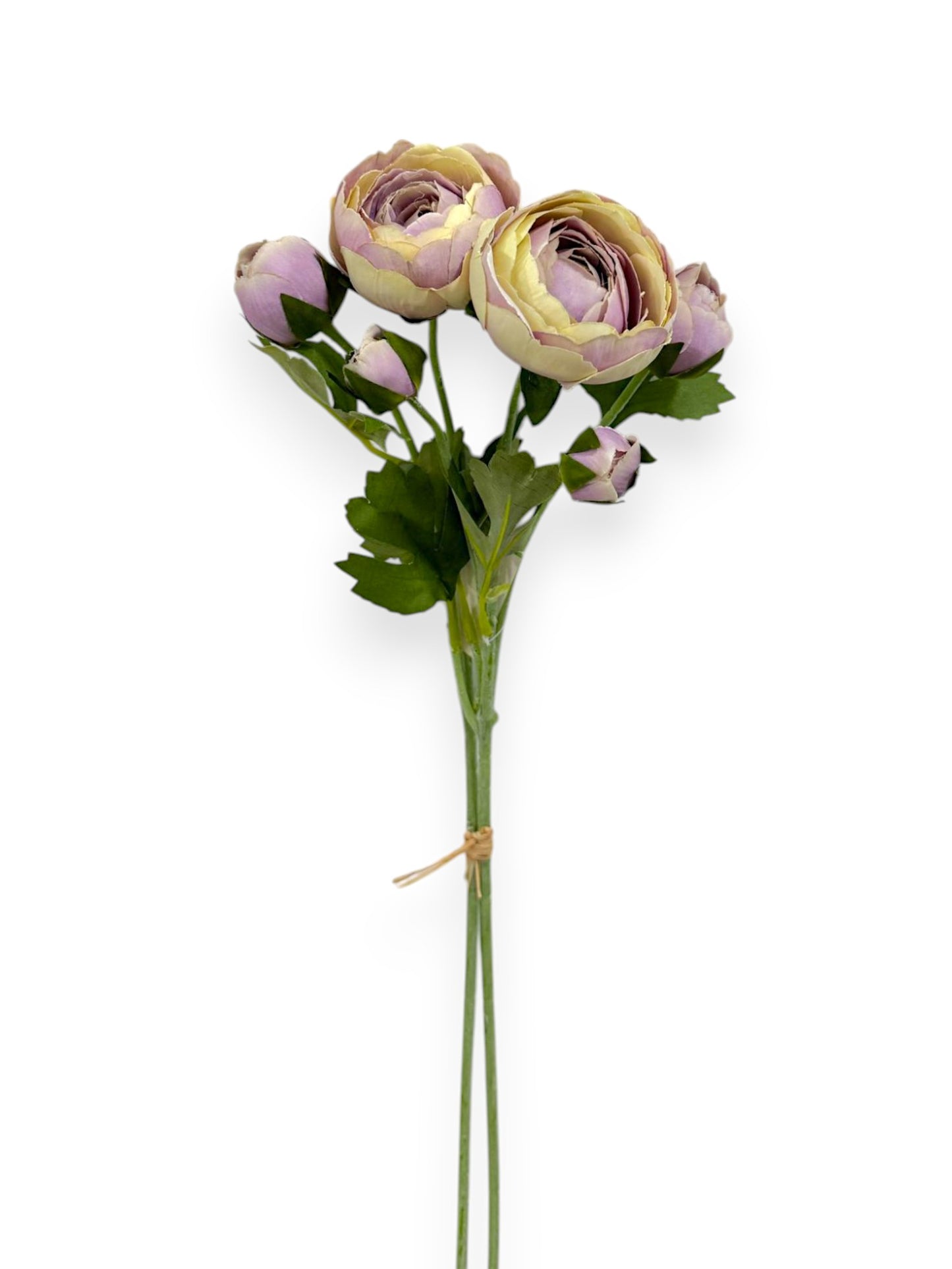 RANUNCULUS BUNDLE X2 20"