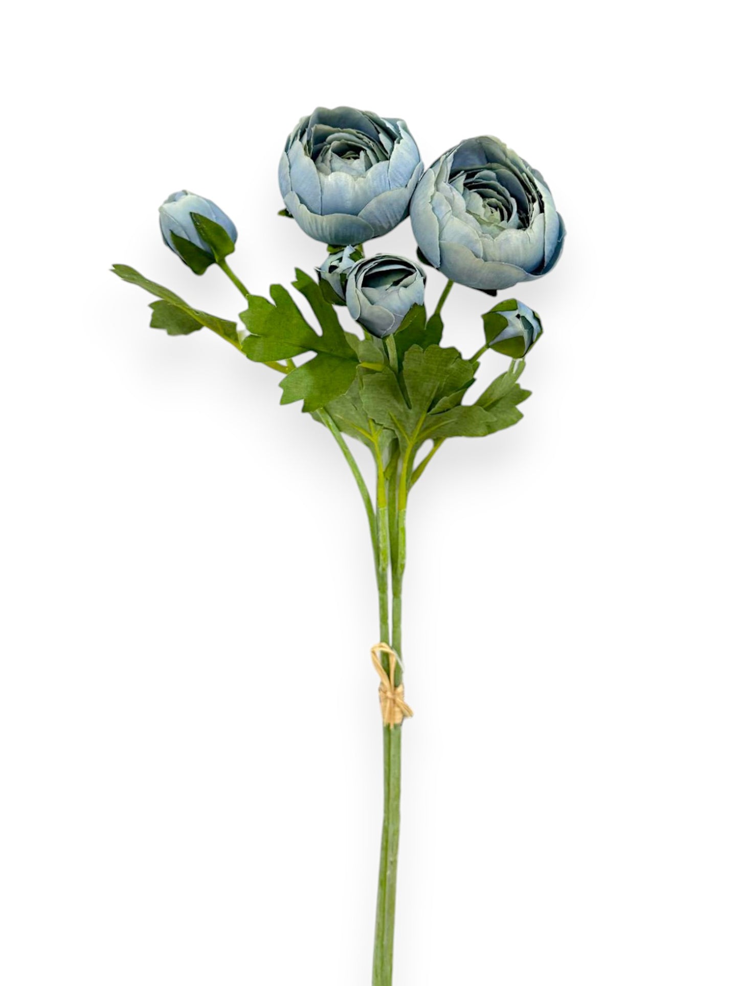 RANUNCULUS BUNDLE X2 20"