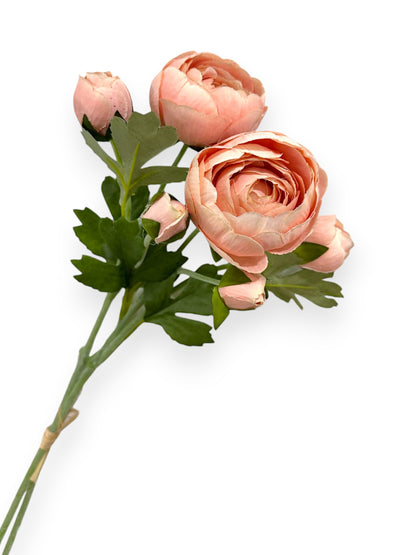 RANUNCULUS BUNDLE X2 20"