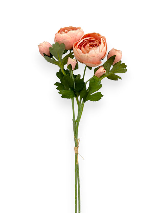 RANUNCULUS BUNDLE X2 20"