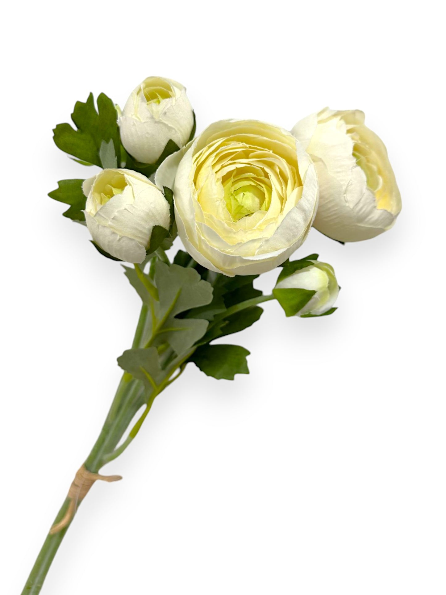 RANUNCULUS BUNDLE X2 20"