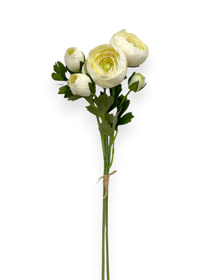 RANUNCULUS BUNDLE X2 20"