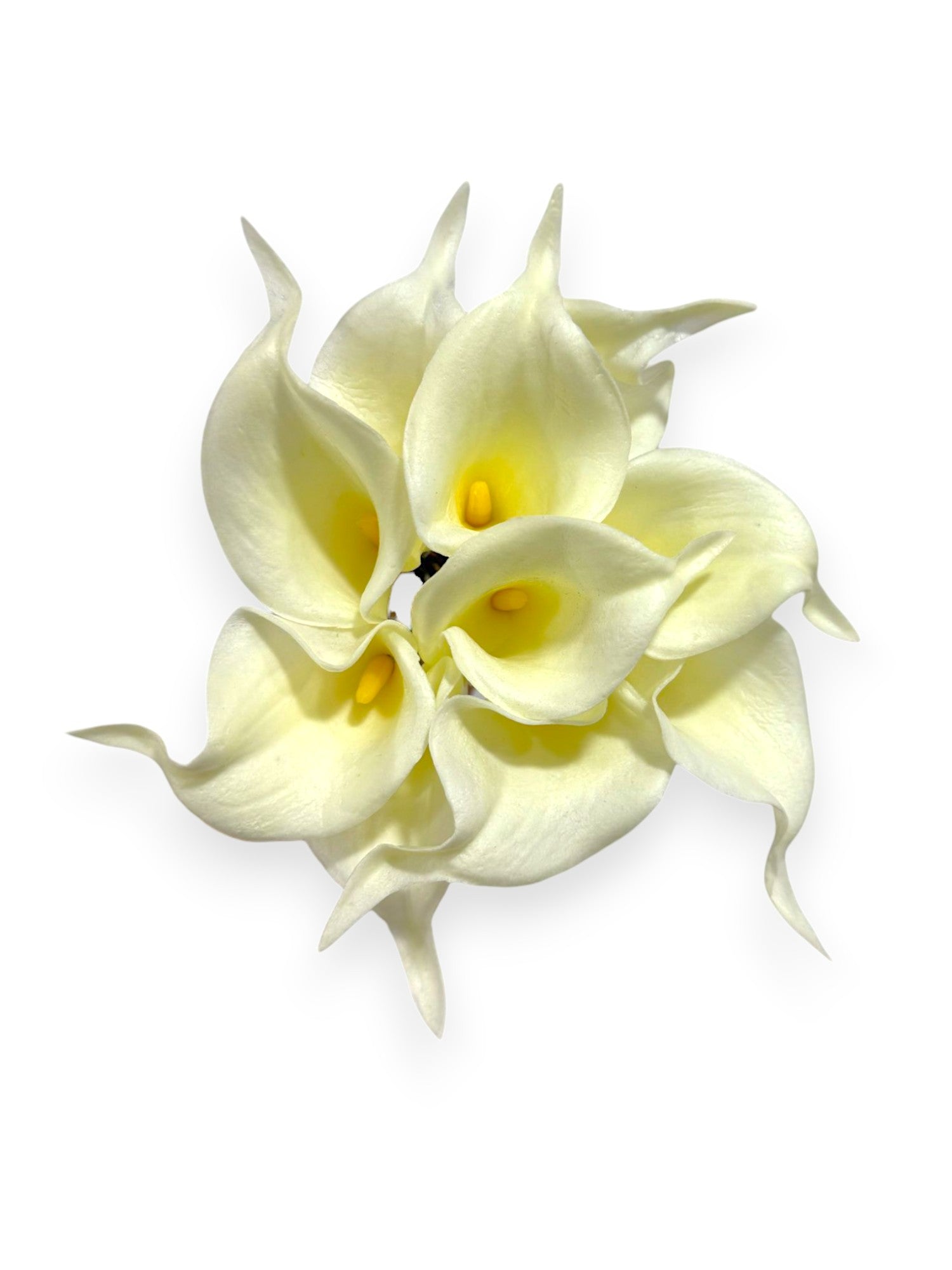 CALLA LILY BUNDLE X10 14"