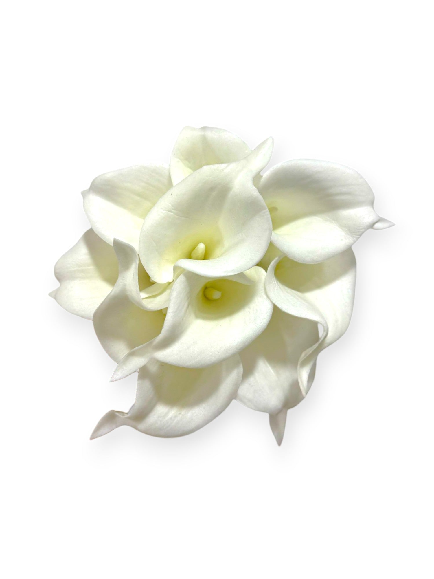 CALLA LILY BUNDLE X10 14"