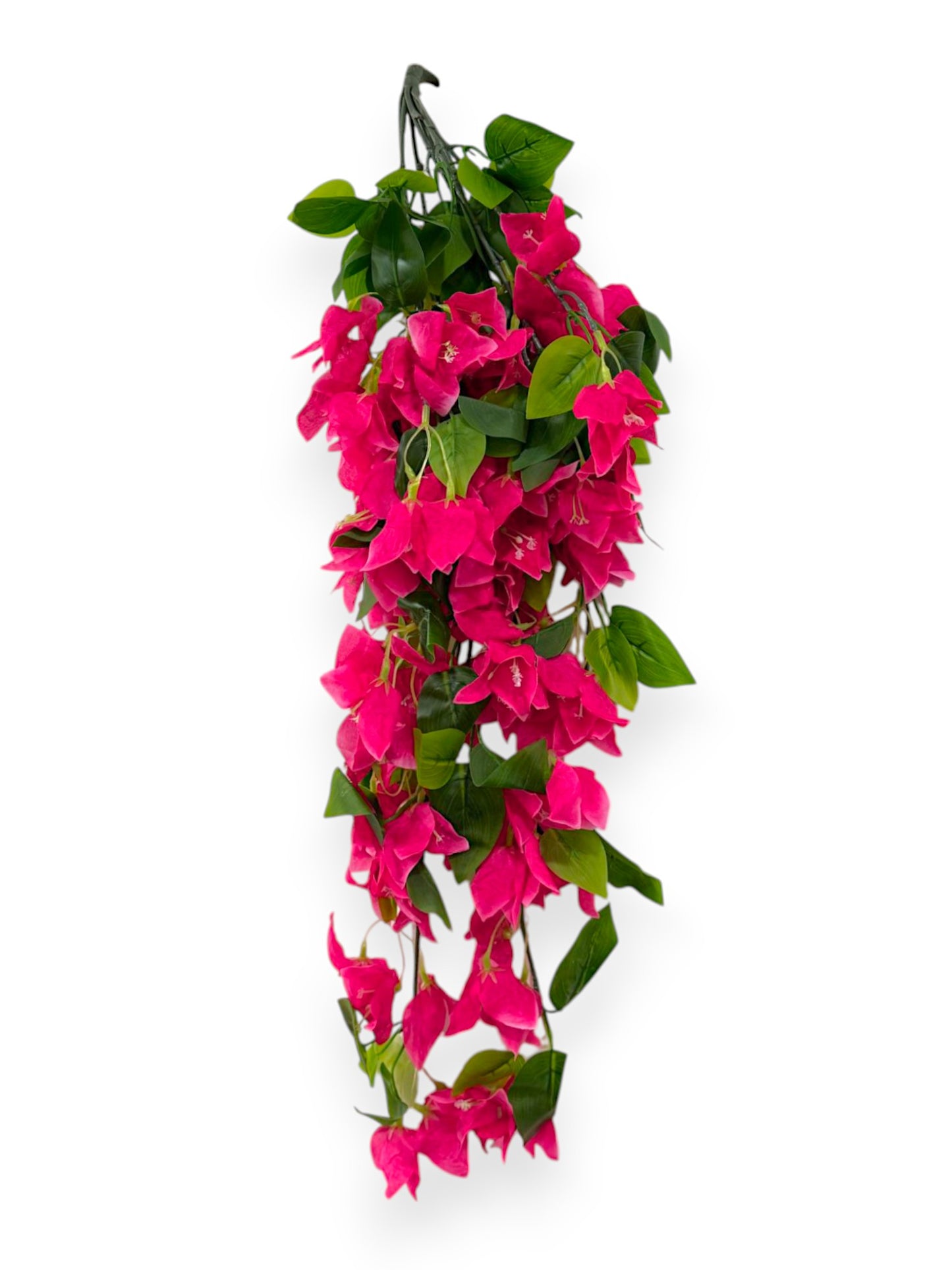 BOUGAINVILLEA BUSH 30"