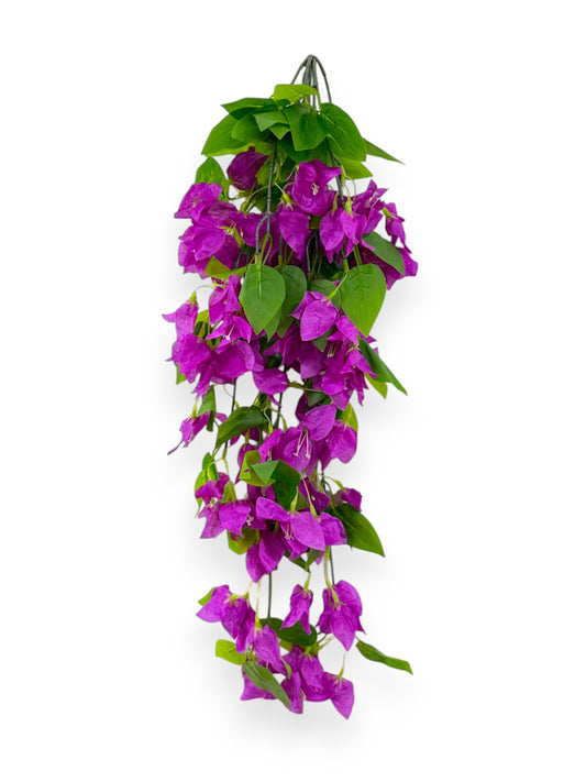 BOUGAINVILLEA BUSH 30"