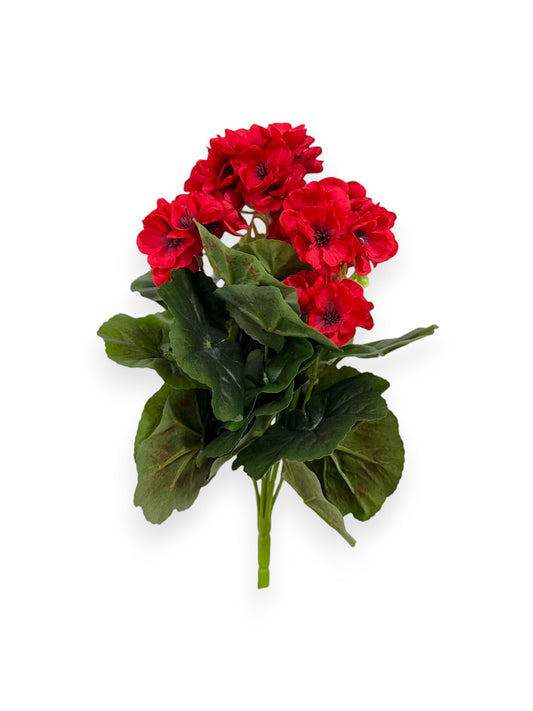 GERANIUM BUSH 14"