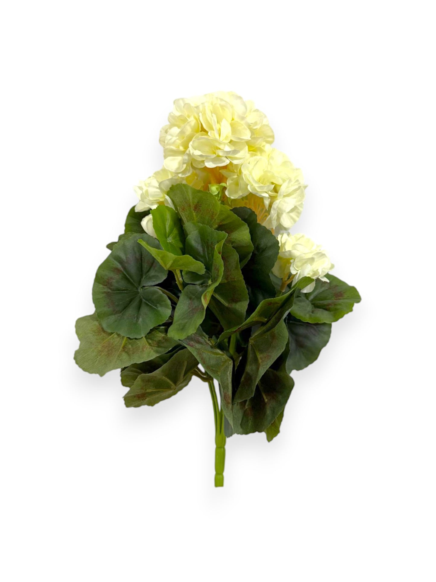 GERANIUM BUSH 14"