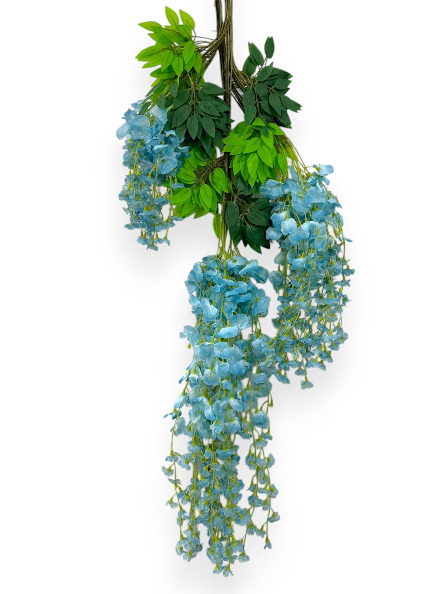 WISTERIA BRANCH 12PCS