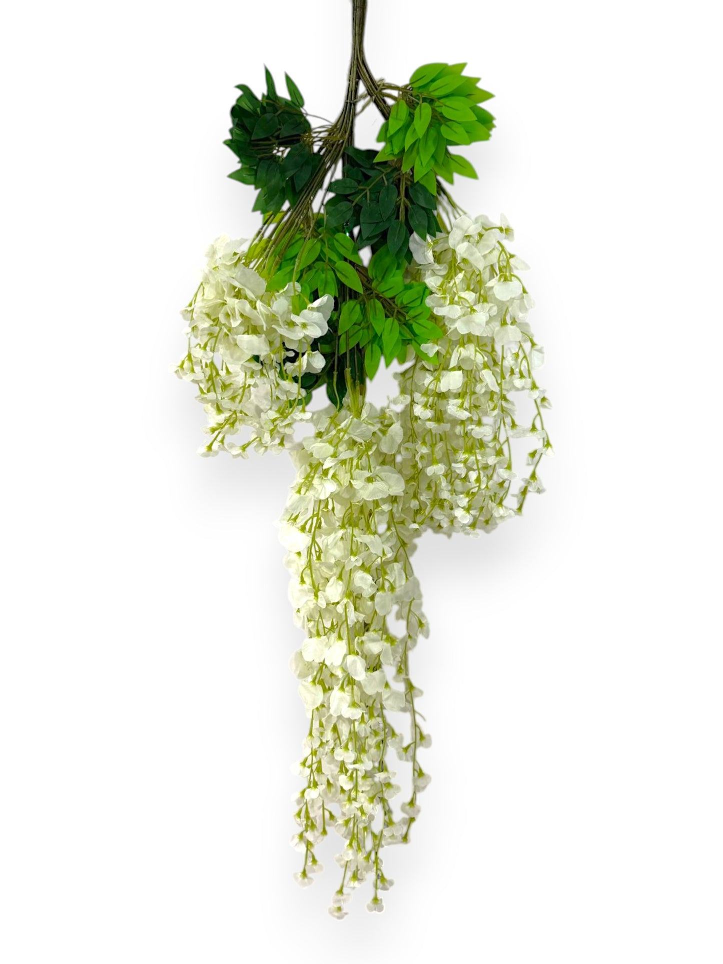 WISTERIA BRANCH 12PCS