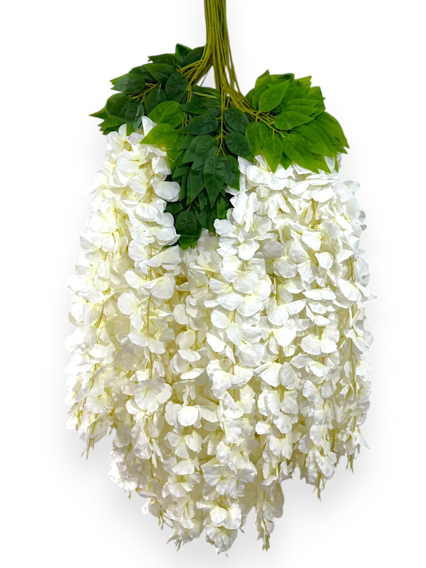 WISTERIA 40" 12PCS