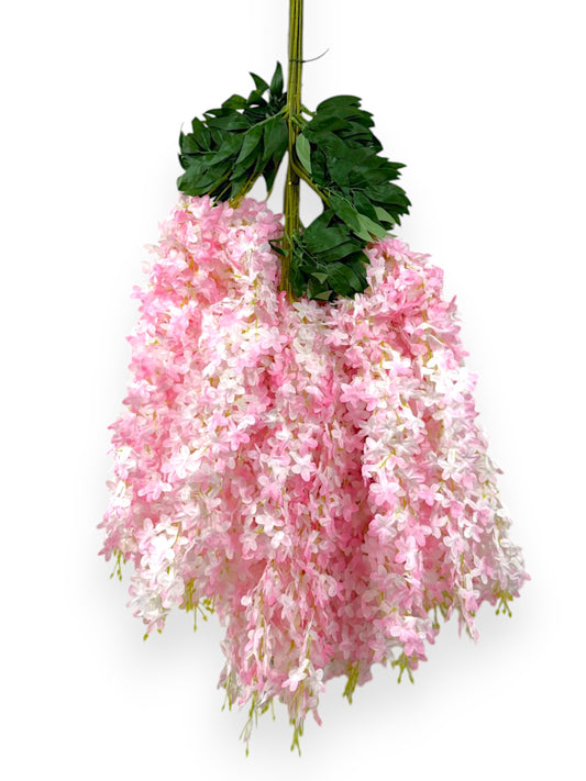 WISTERIA 42" 12PCS