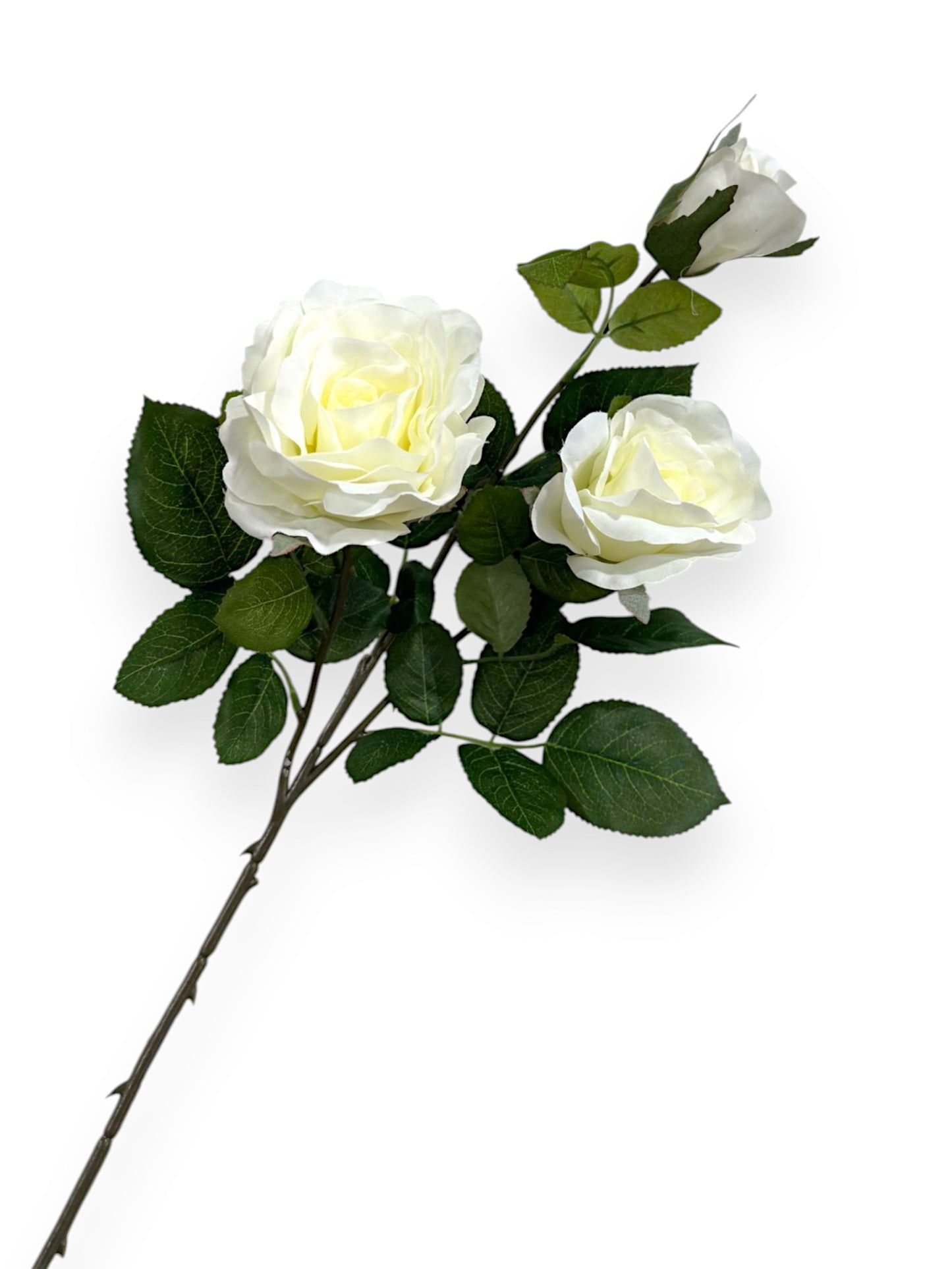 ROSE SPRAYX3 32"
