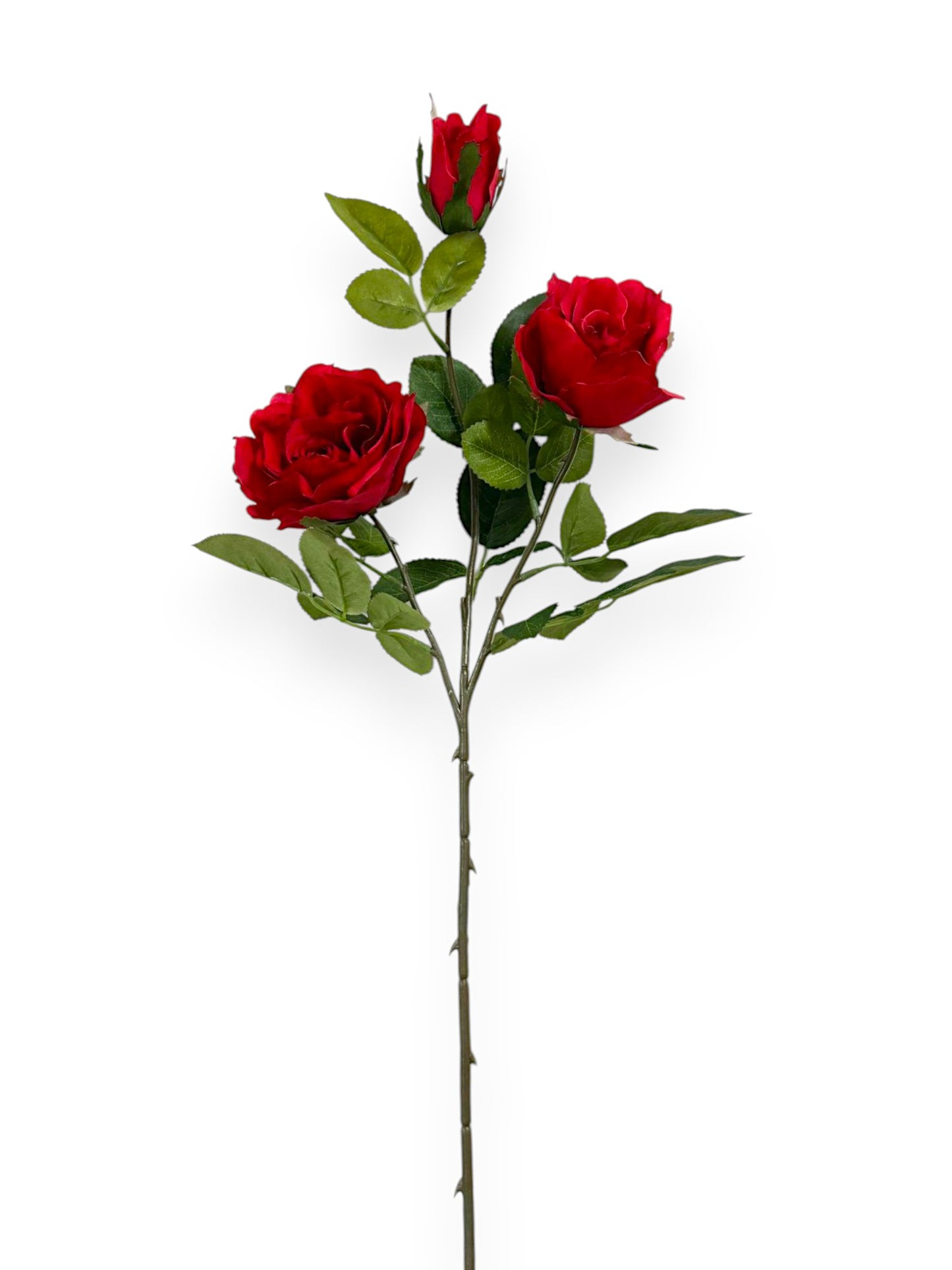 ROSE SPRAYX3 32"