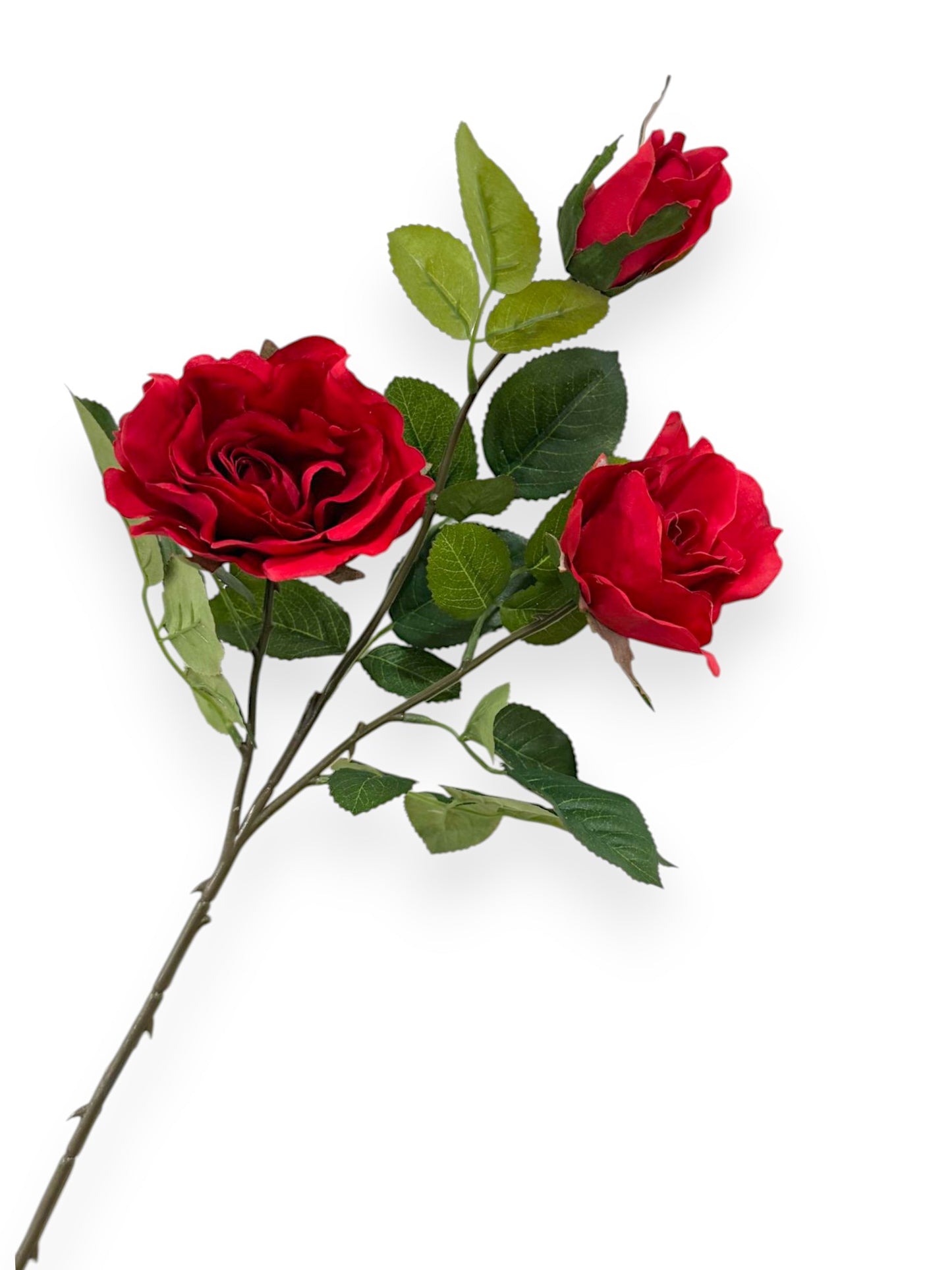 ROSE SPRAYX3 32"