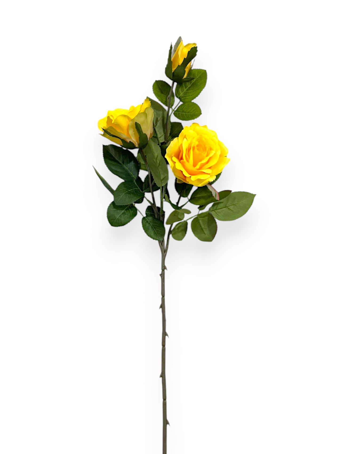 ROSE SPRAYX3 32"